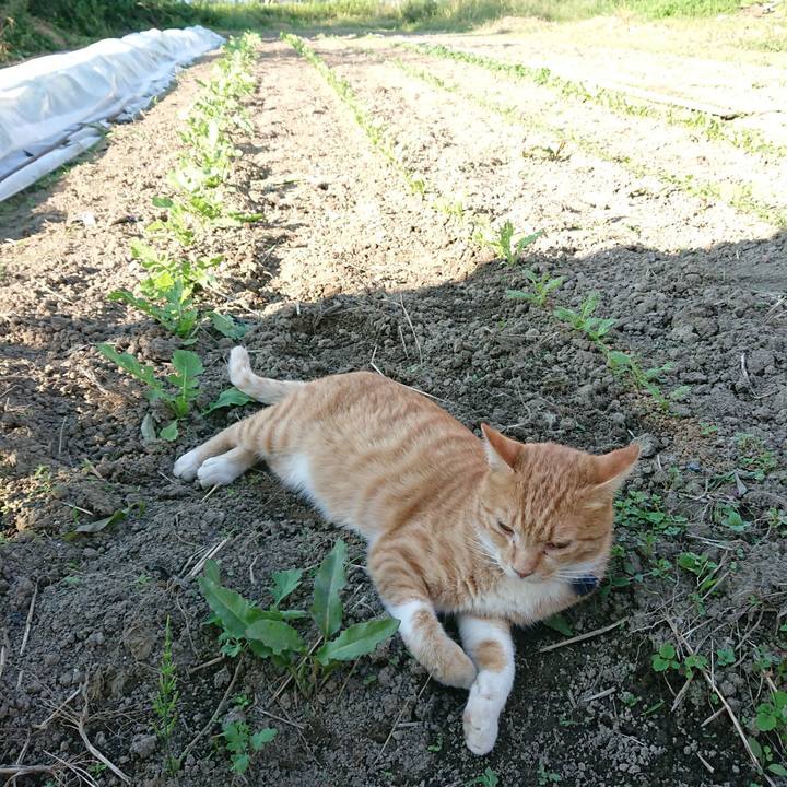 5f0f6b0d dc4f 489b b344 2ead2db6d3bb 1568536271396