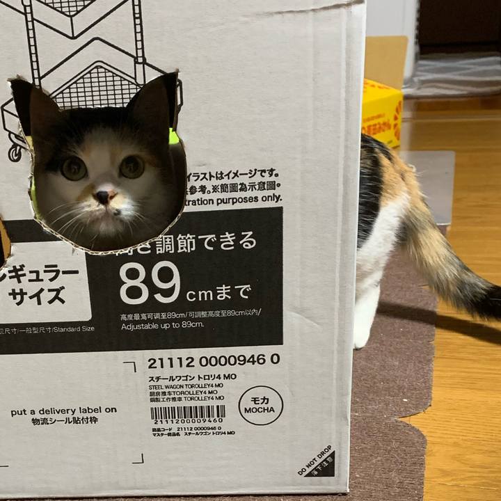 5f0f9d20 9367 49c6 a5e9 77edf942531c 1760870691097