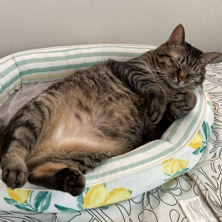 5f0fb5e7 ef45 45ef a814 1992dfb51cc8 1662878896206