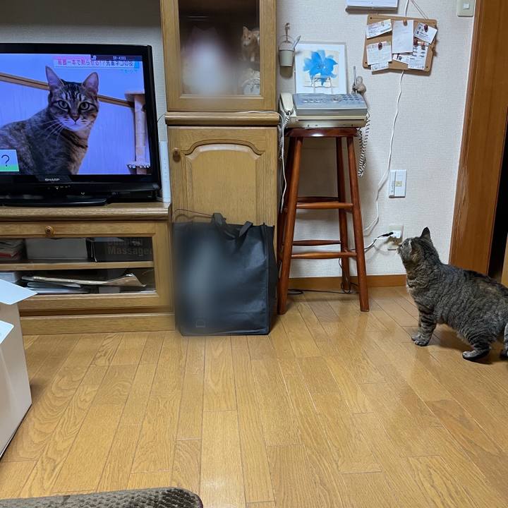 5f0fb681 ad9e 412f 98b0 81e4259cbd08 1618312600540