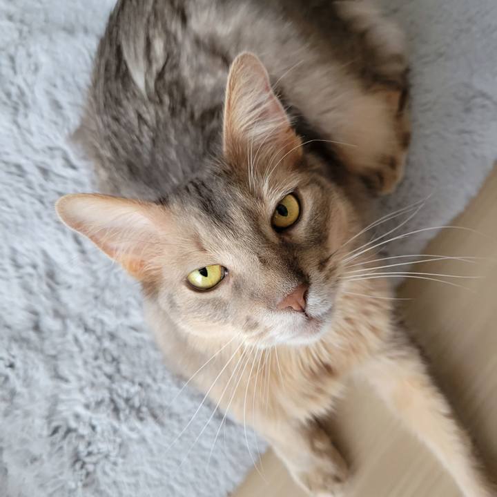 5f0ffa60 0ed5 4e9a 8480 67e82e4a453b 1649506392774