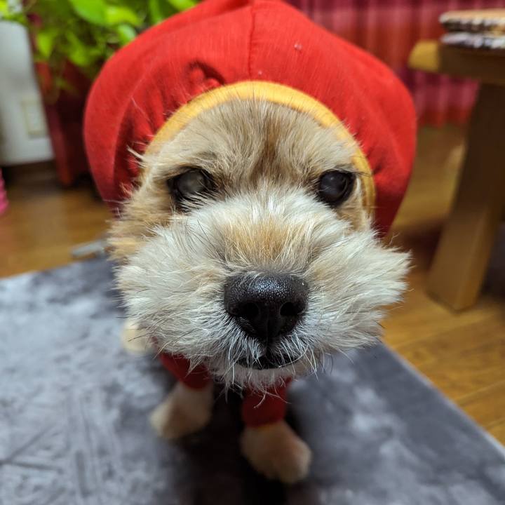 5f1025c4 dbec 43fb a11e 150b3c1cb88d 1701127142686