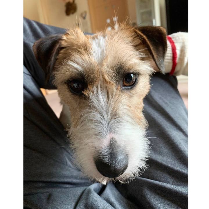 5f108c49 5292 4e1b 9ce1 8ea927c50329 1589603793442