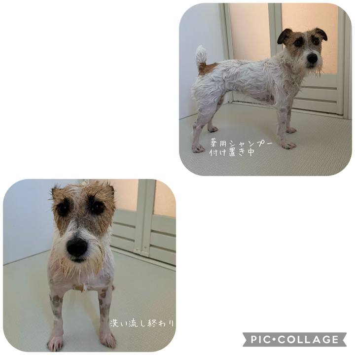 5f1098f8 ac09 4be4 b935 898b3a47ade6 1656208506764