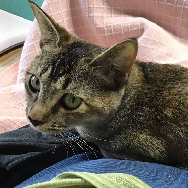 5f10a62b d53c 4432 86be ee525a7c5098 1575881287654