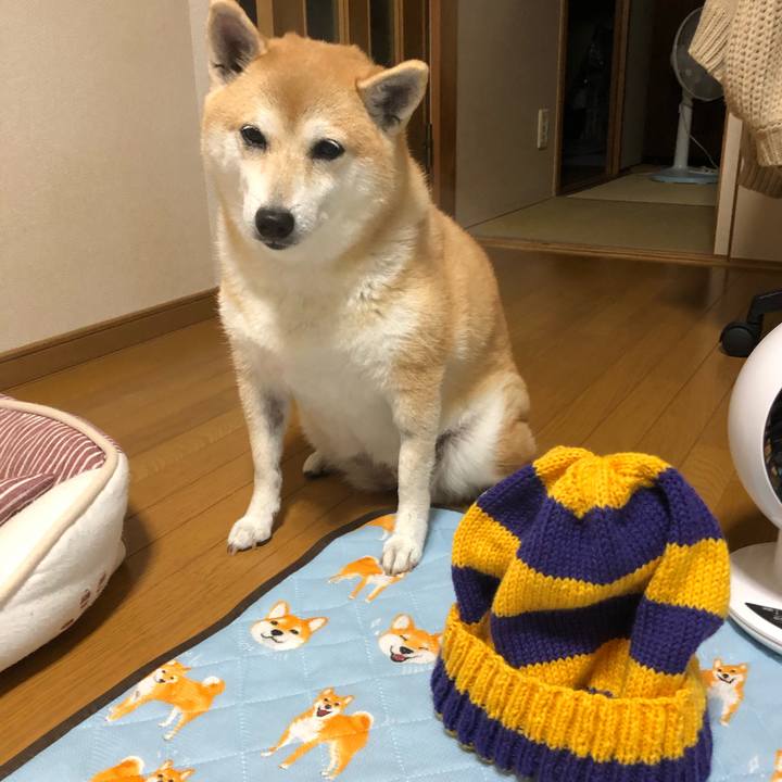 5f10b28f c0e2 48ab ba9a cd7e66f966ff 1571394810763