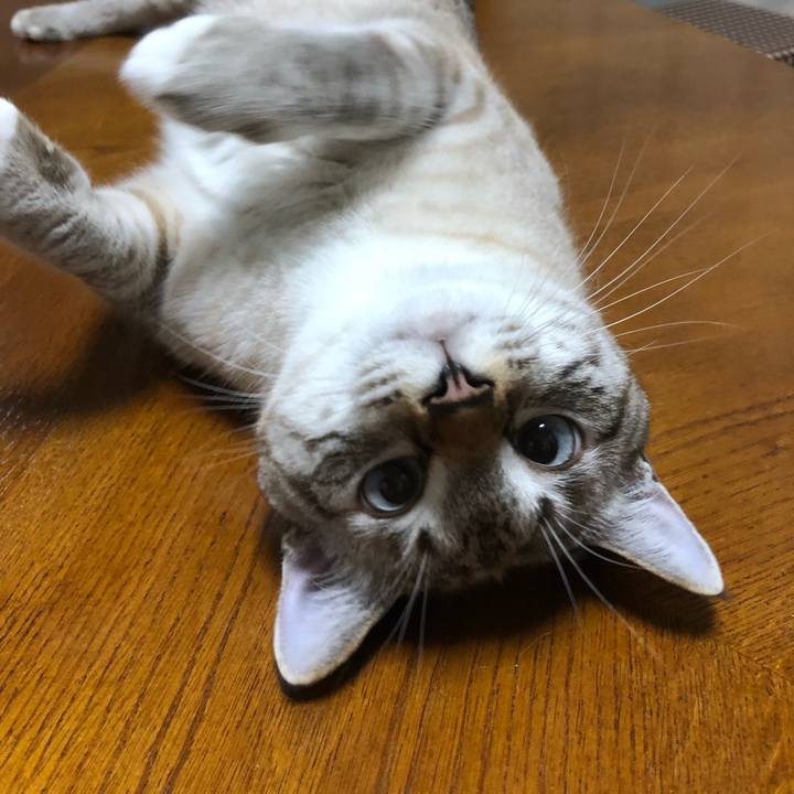 5f10b6ee a65c 47c4 9144 d71f2bdc39a6 1632302350737