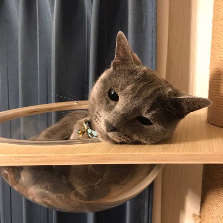 5f10c4b0 ebea 4ba7 ab80 0a6821f6d116 1651711711707