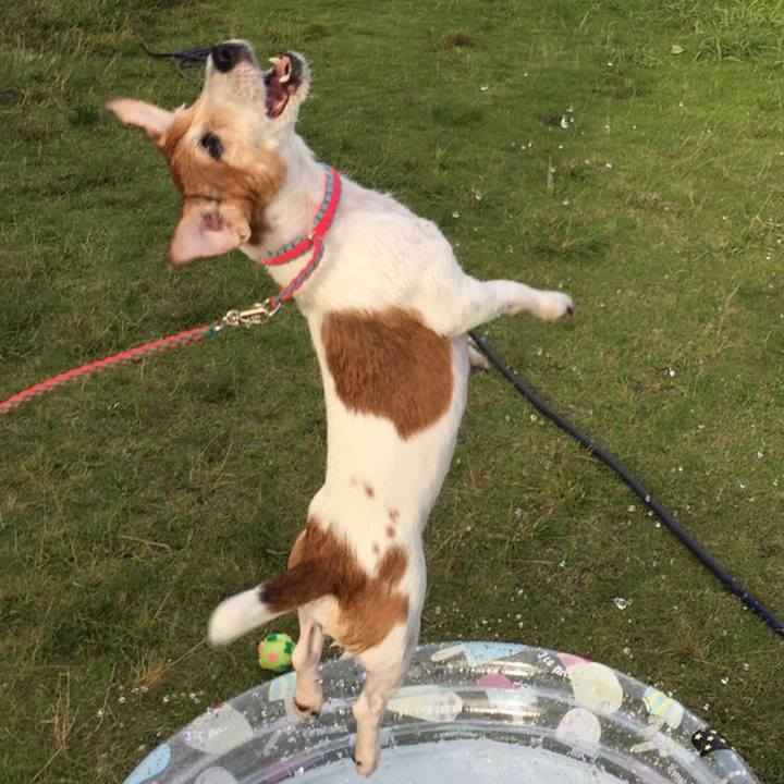 5f10d0ce 6a0f 4e66 aef0 134dc5d67176 1534341214751