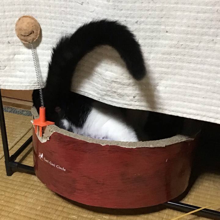 5f10d4f5 7f50 41cb b06b f0fcb781db6e 1636109795062