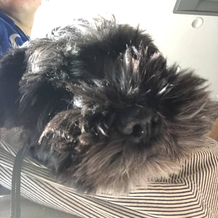 5f10f32e ee3c 4c32 ab88 84e5d69ee64f 1577069687059