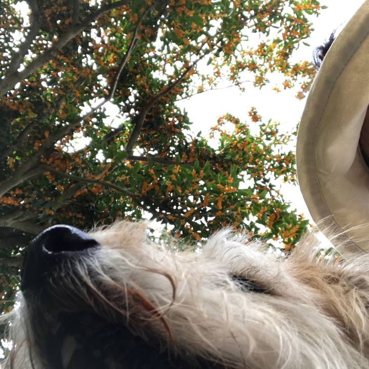 5f10fc28 2bfd 49f2 84da 4edd68aabaf0 1601797318385