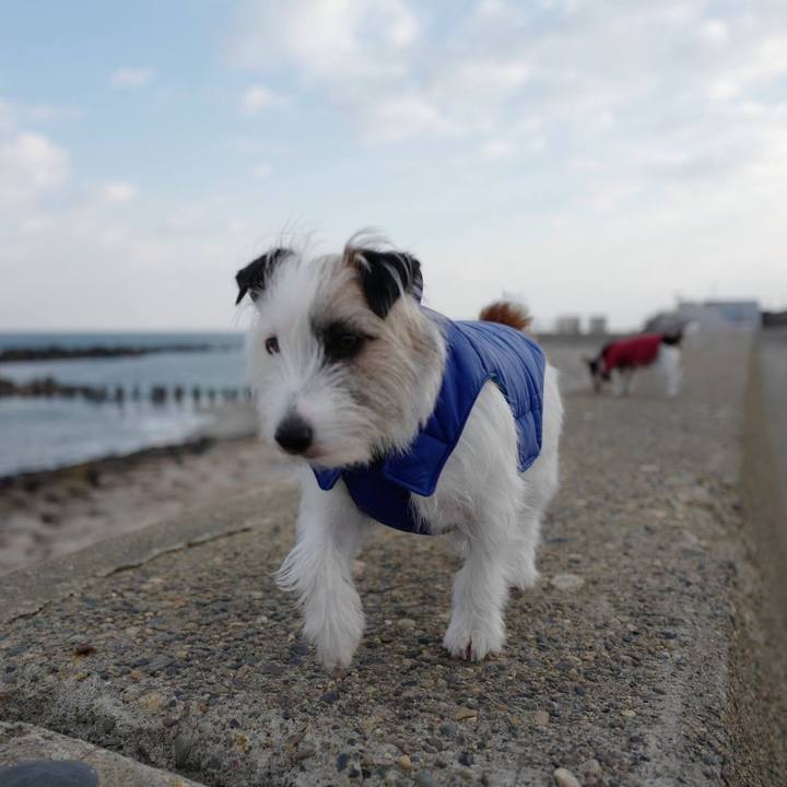 5f10fe25 1069 4976 8d96 739115b94c4a 1551157733911