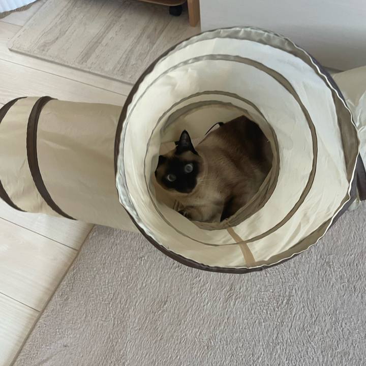 5f1107c0 2594 474f 9be0 a85e172a67c5 1749764700971