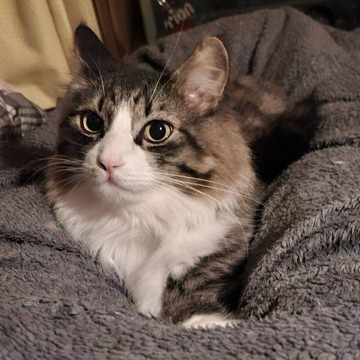 5f11083e c0e4 492c 9575 9c990dc28ba7 1767519301307