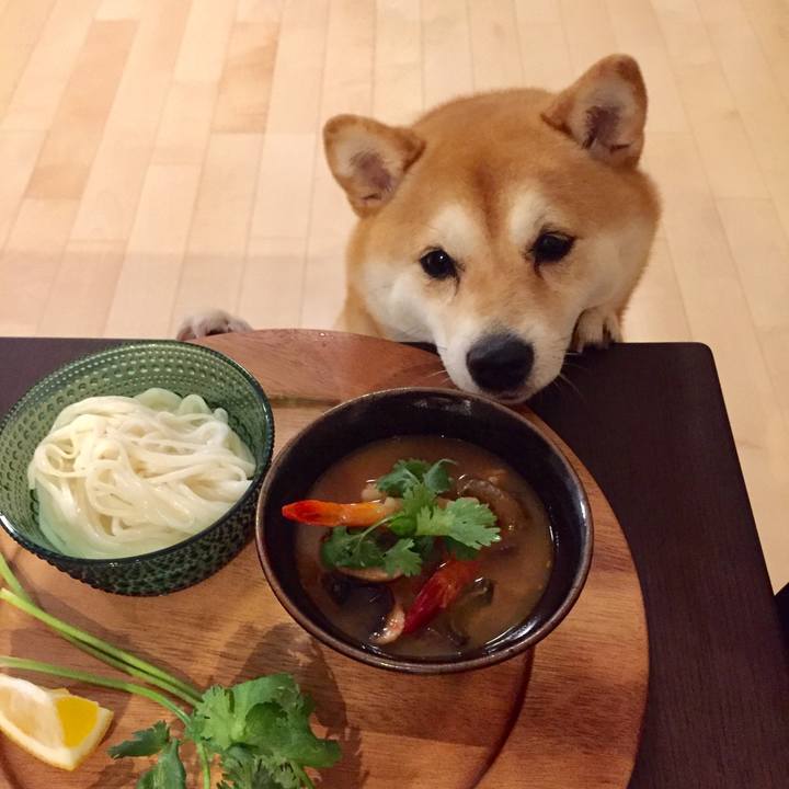 5f1112da 6bee 41a6 a208 04996bc97d02 1532143544177