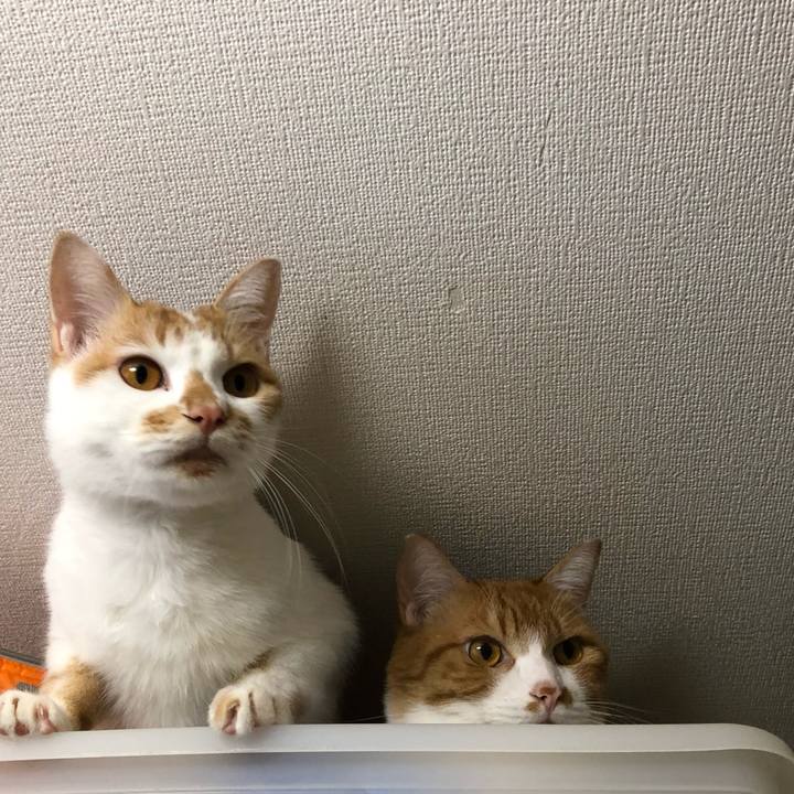 5f11451d 7aa4 40a2 ae56 68aedd3bdb56 1602071165961