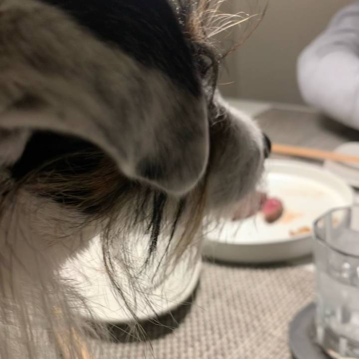 5f115661 8c71 4761 814d 54af8d5bd6ba 1642850099054