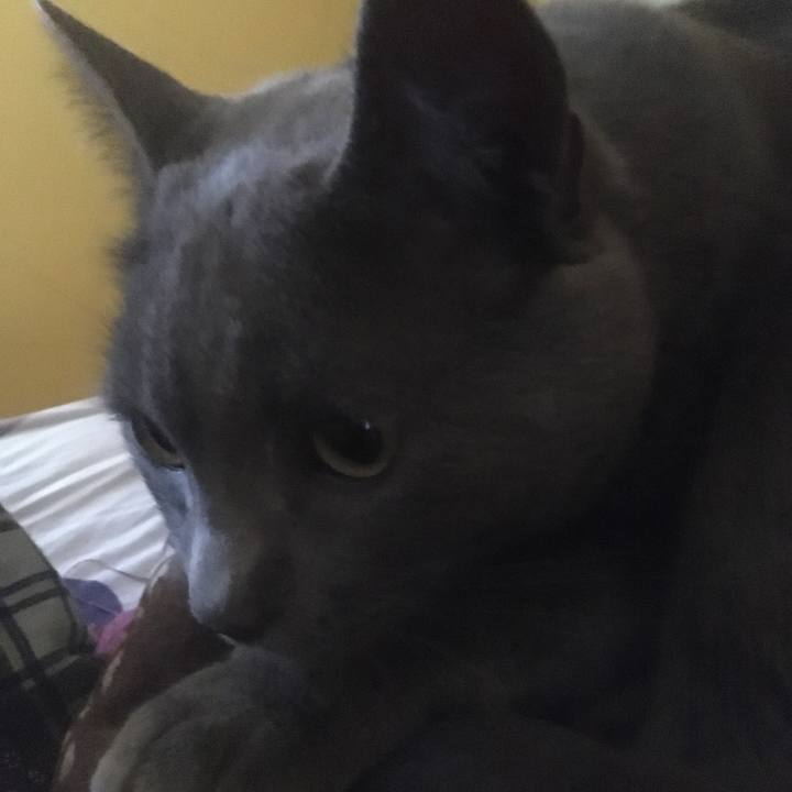 5f127d18 d6e6 4841 9fdb f25f74a79d3f 1633480262054