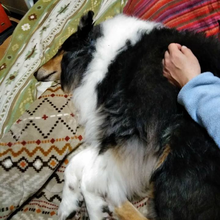 5f1281ae a6cb 4b3e 88e8 2349003283dd 1512122450194