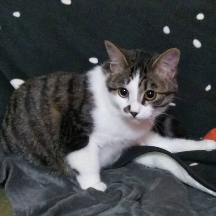 5f128351 9b76 48cb 8253 617306fac873 1618526682205