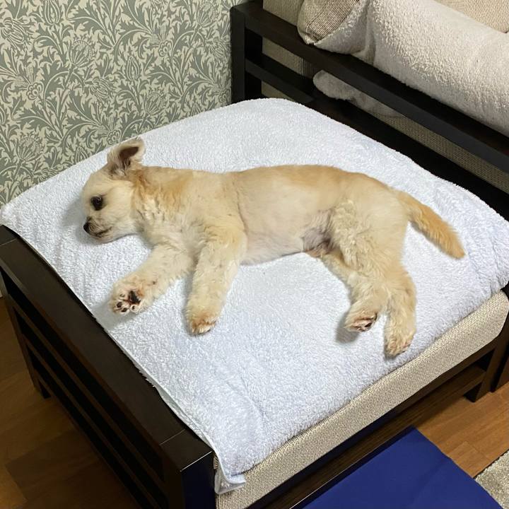 5f1287a8 0ff4 4d6f 816c 1dcee176c5ce 1657023753593