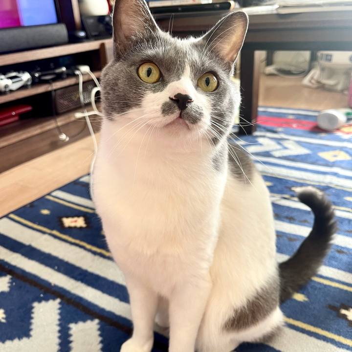 5f128b0c b9f3 4b06 8d6f 7a3c5a809572 1666490725557