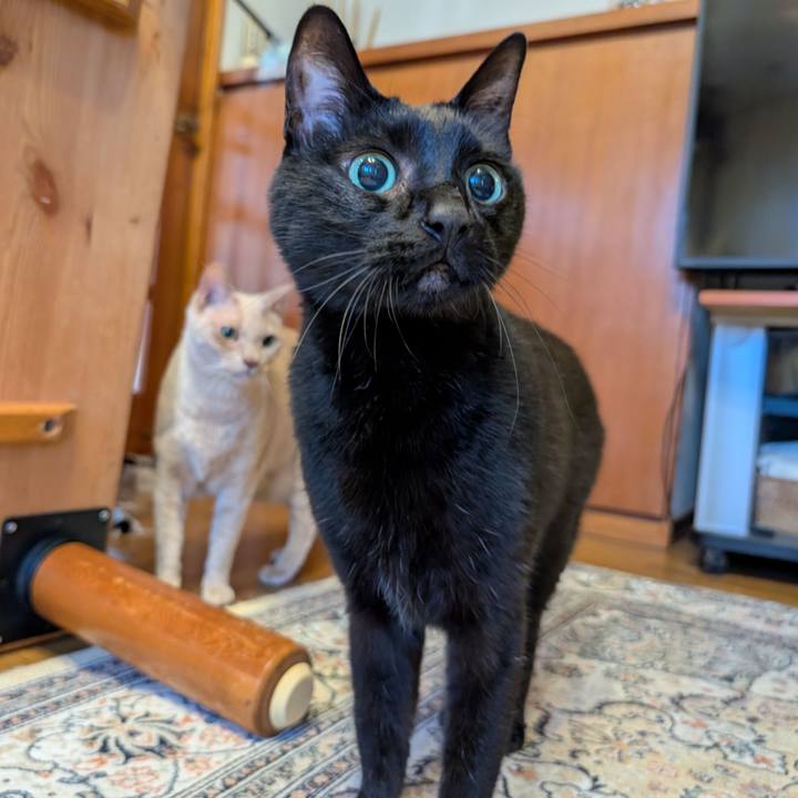 5f129889 4d58 45ea bf86 010d9f5b89d6 1775948904727