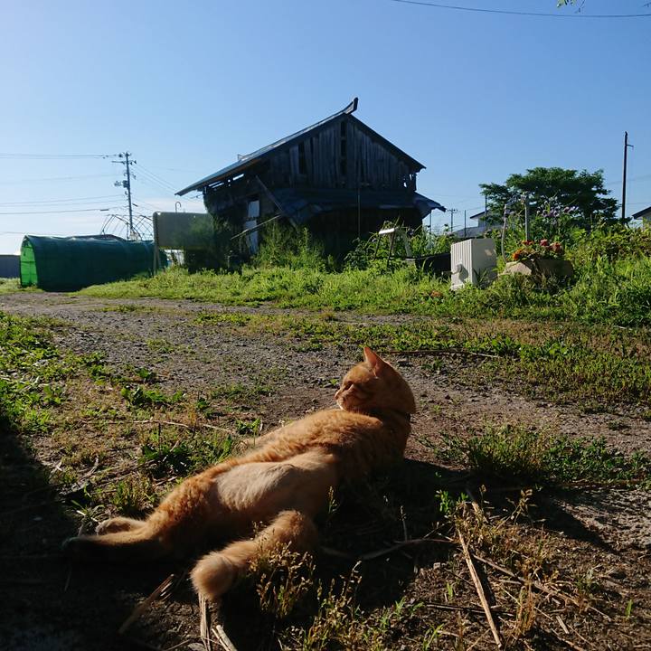 5f12bc85 6934 46f3 b59d 006f6a8972b1 1656714585589