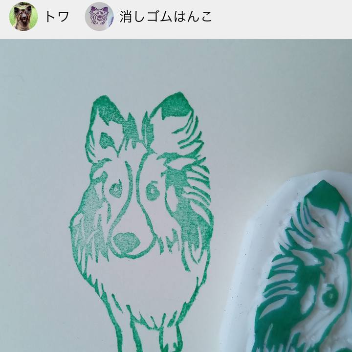 5f12cb6a 4104 4616 a295 b4ad9a804513 1656946482113