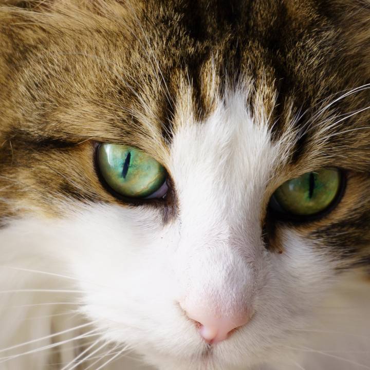 5f130a49 aee9 489a 932b 755b4199e87d 1649501066529