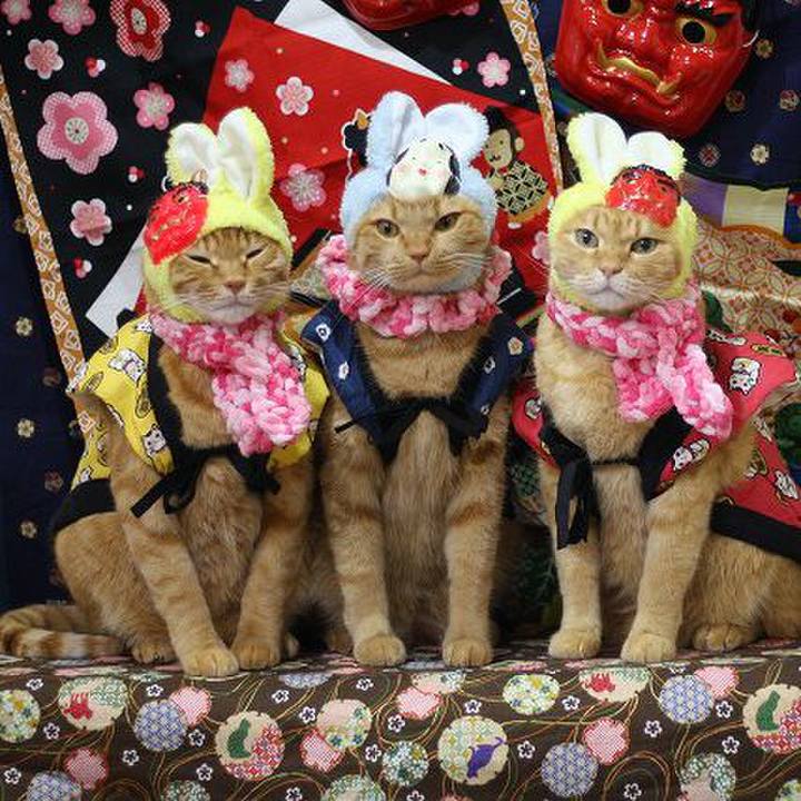 5f131d04 9490 410d 9c43 a491d32290ad 1580636342267