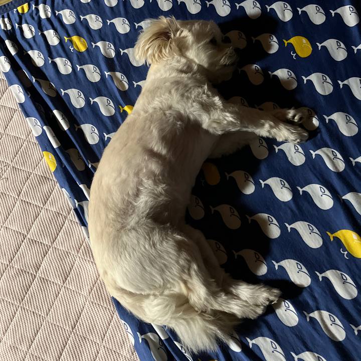 5f131e23 c90b 4236 ba85 9b33878f48b2 1656767907821