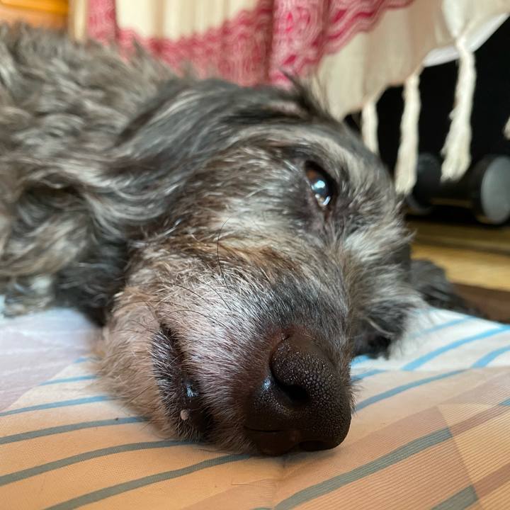 5f13413a c8ee 4e8f b49a 982d9db00733 1695163717534