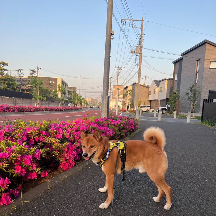 5f13643f 37ba 4c94 a27e 836fc812ad97 1682165055982