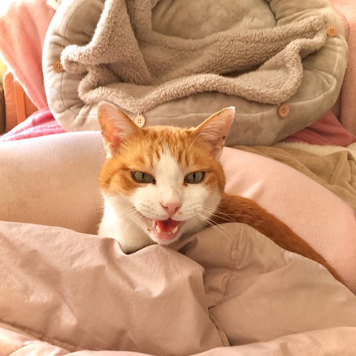 5f1364b9 c411 4cc0 afa5 ce39a506b6d3 1615159150349