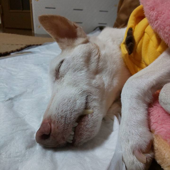 5f138dfe 745d 478d 9c58 2e3a3b33602a 1579795212916