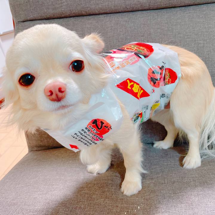 5f14165e 1e88 4c01 8da4 50f7b3fdcfd5 1645594670907