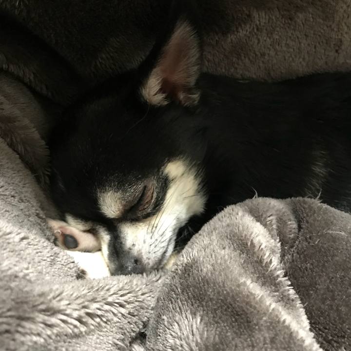 5f143bb4 5366 4d50 8ec5 c0e0c486850d 1518258155179