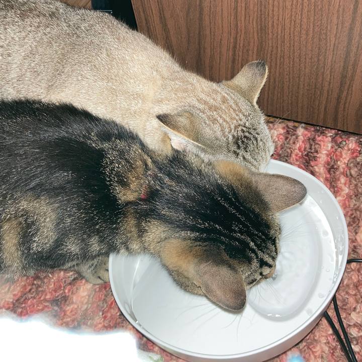 5f145015 ceb5 436d 9b25 213058c8d12e 1593735213970