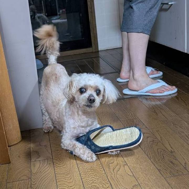 5f14762b 4c35 4e93 a892 7b0fae17bfbc 1750159911916