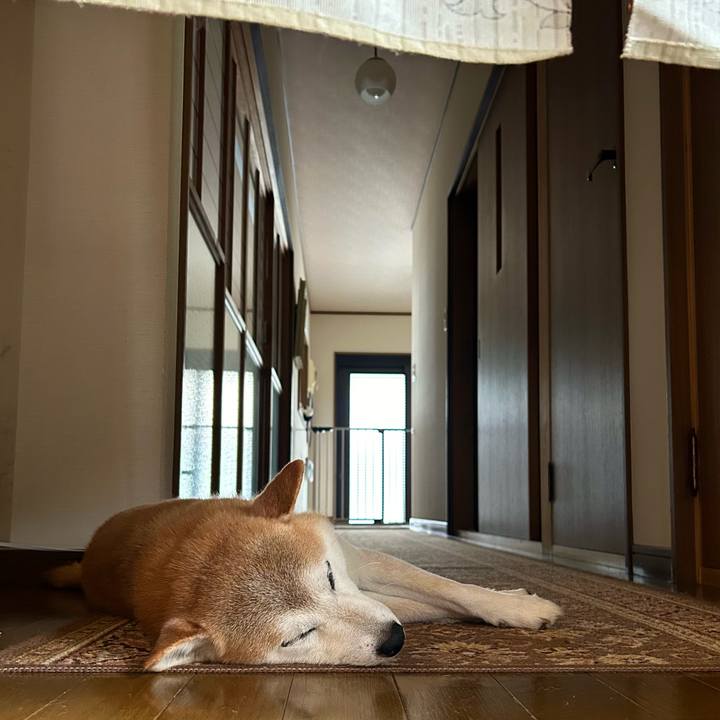 5f147923 a3df 478e a9d7 6e711d93fac3 1720955146797