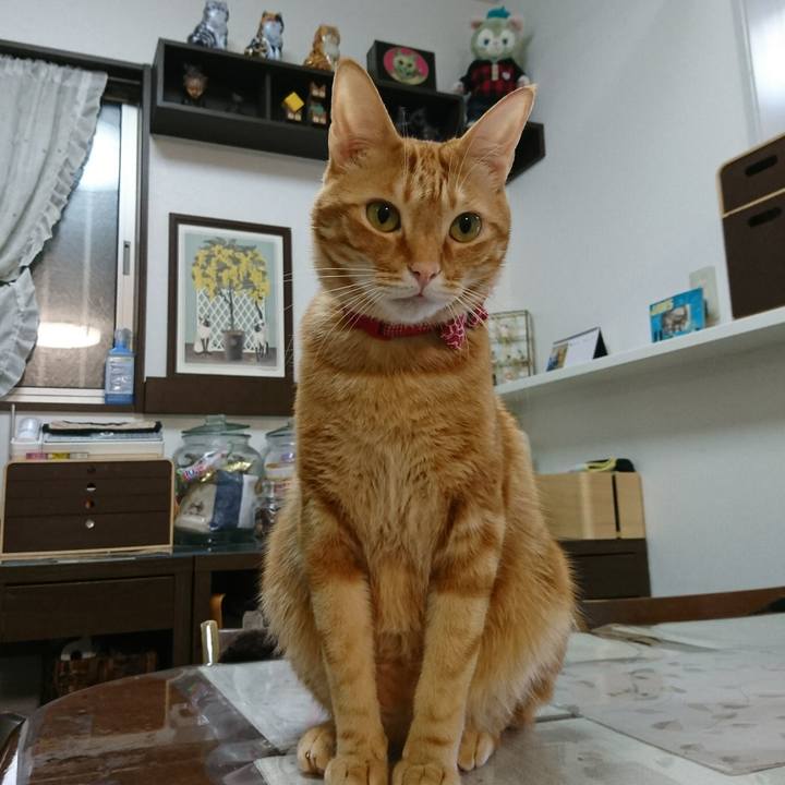 5f148745 145b 40a6 af79 8f5bbce3f4f3 1517400162321