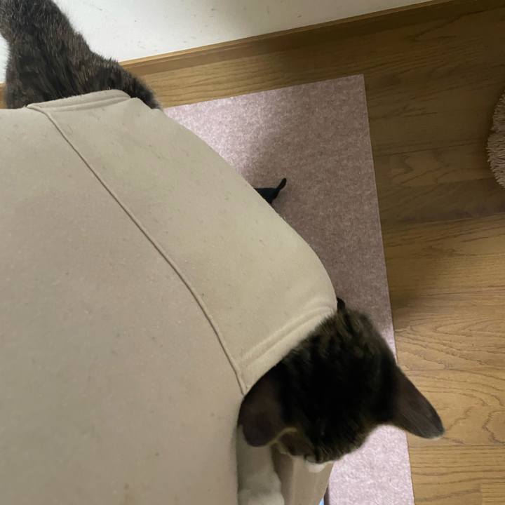 5f14aa28 a479 4f11 a749 ed61155cd5d4 1728762007362