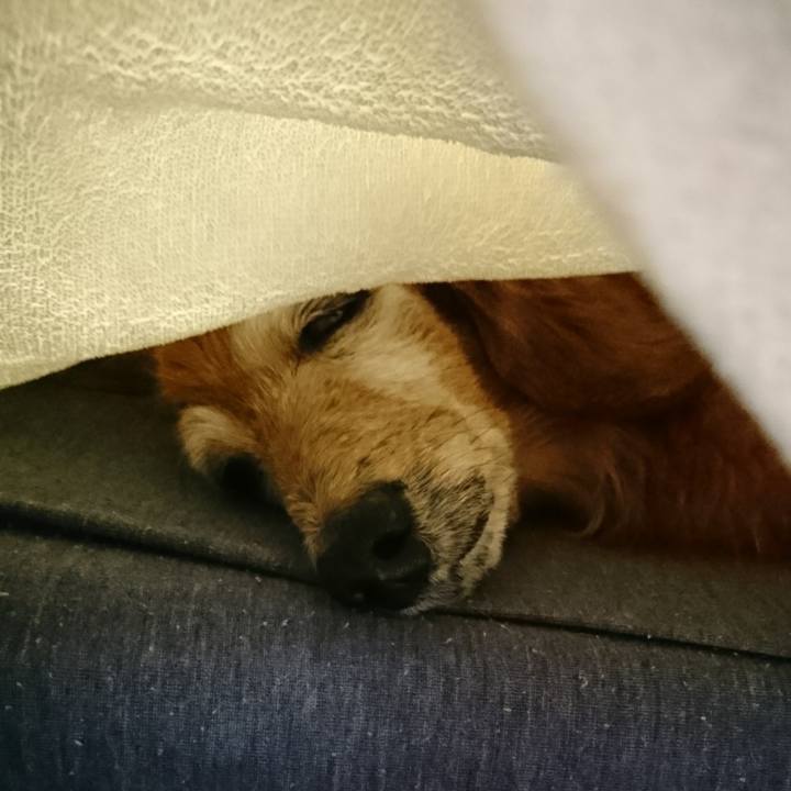 5f14d88d c50e 437e 8dab c0f45c2da85b 1735060552240