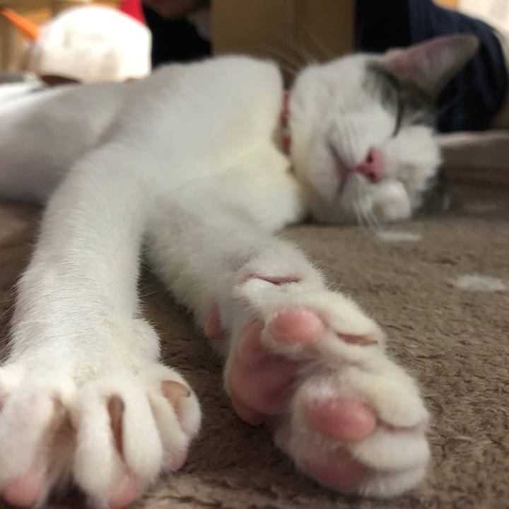 5f150343 1006 4ebb bac2 cf875e214ad9 1577434530742