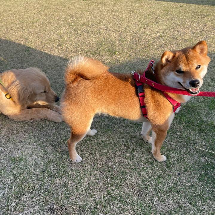 5f1504c4 a961 40d7 8268 35c505cdc885 1679223713689