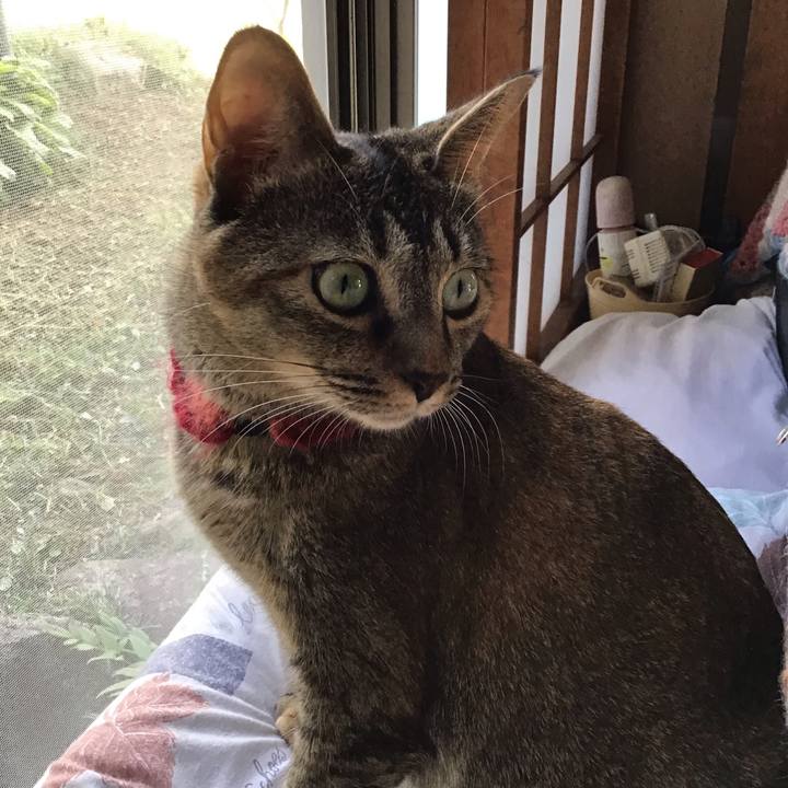 5f1510d1 dd66 42b9 b70f 0899f0790266 1601191884078