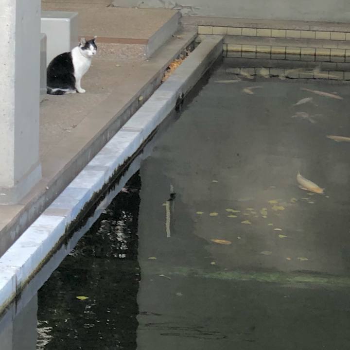 5f1522a3 850f 4d99 b045 94a51833aad5 1638186825647