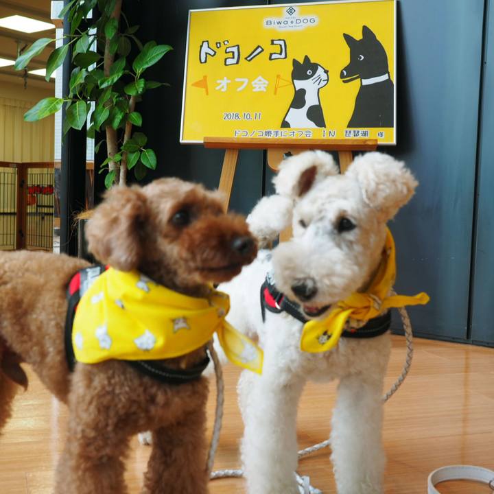 5f15289b 605e 4ec0 83bd 59c06766b96e 1539267654692